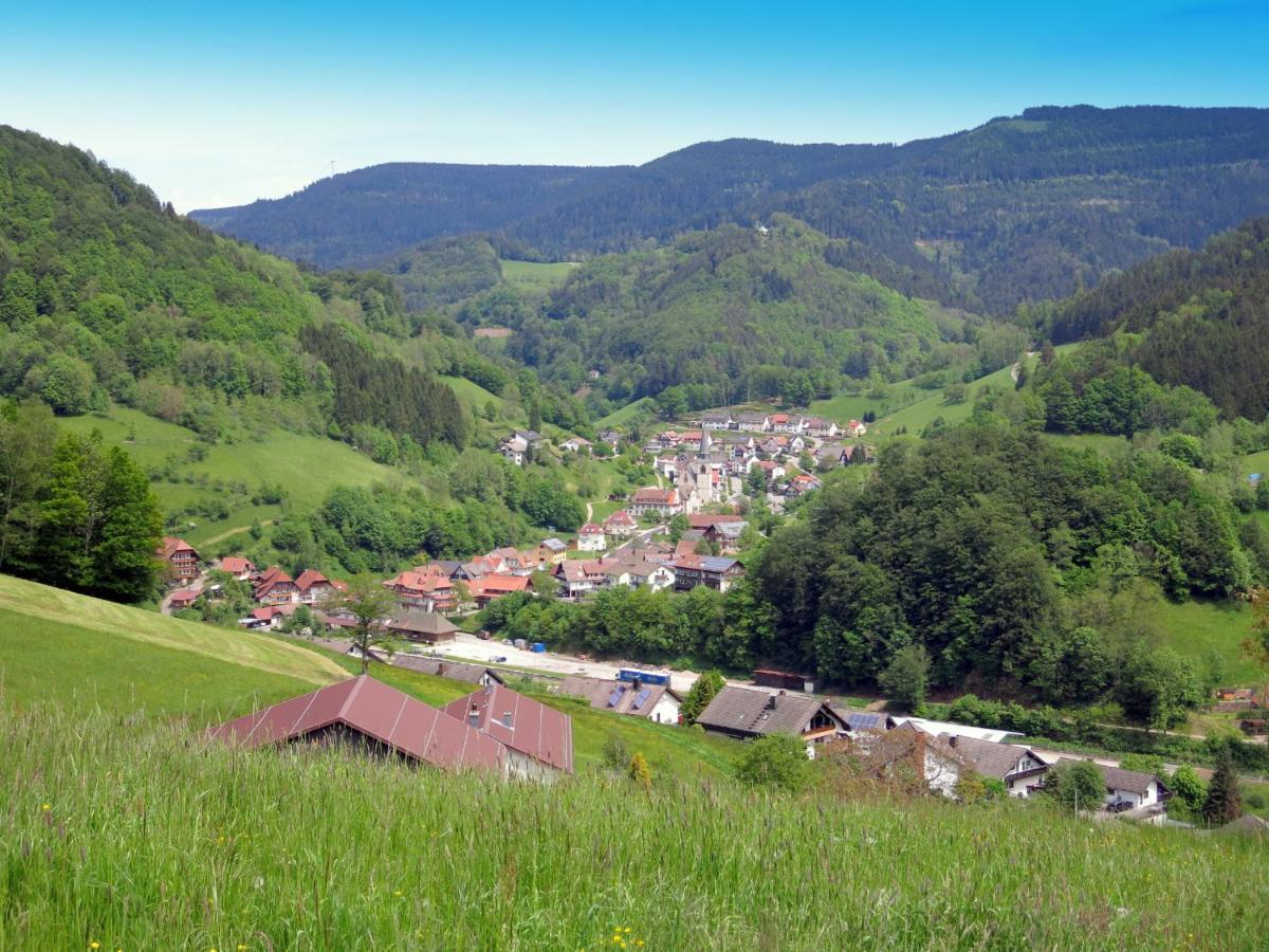 Am Doettelbach Apartment Bad Peterstal-Griesbach Exterior photo