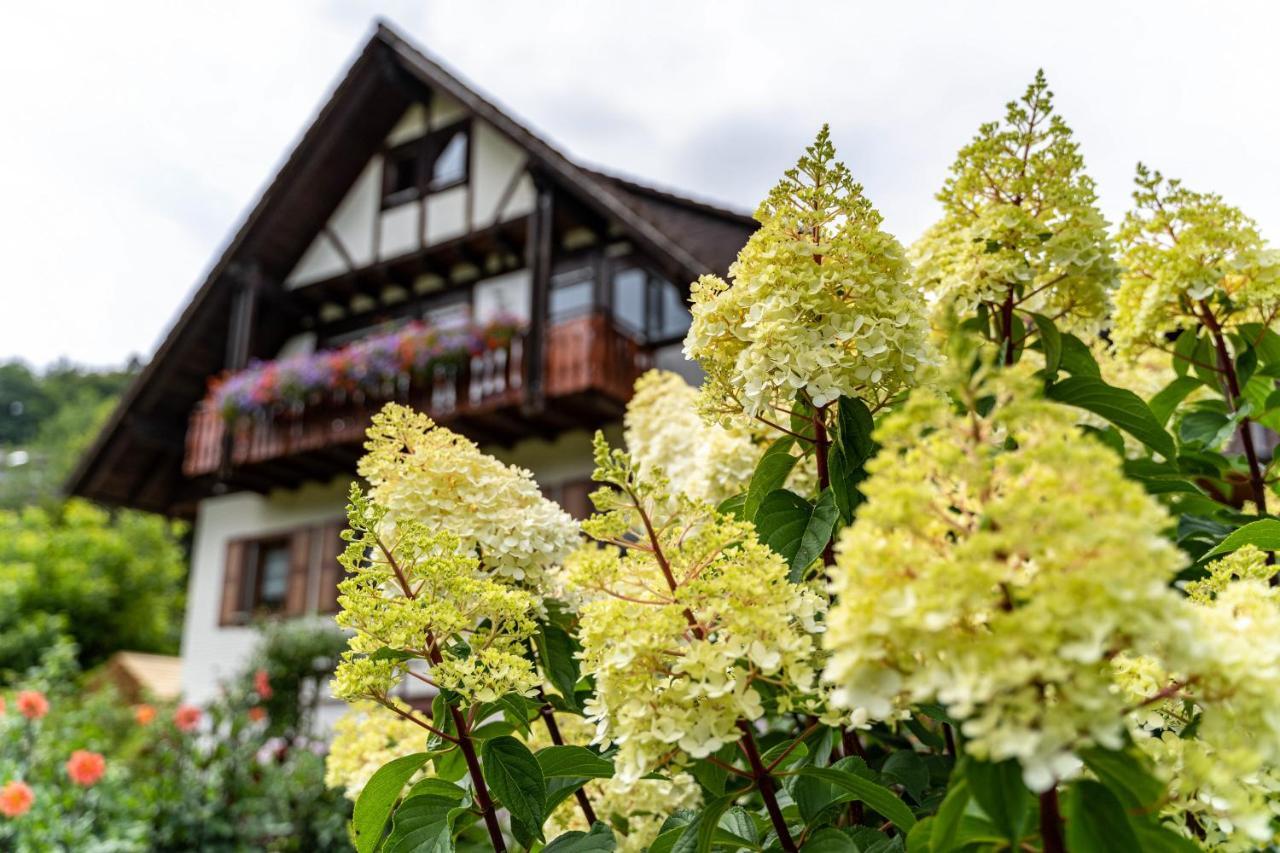 Am Doettelbach Apartment Bad Peterstal-Griesbach Exterior photo